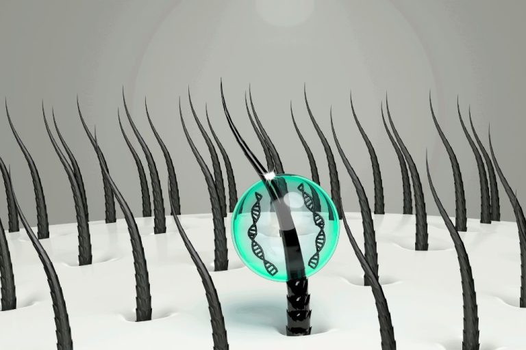 Illustration of hair follicles transitioning from hair loss to hair growth, highlighting genetic and cellular regeneration under the scalp.