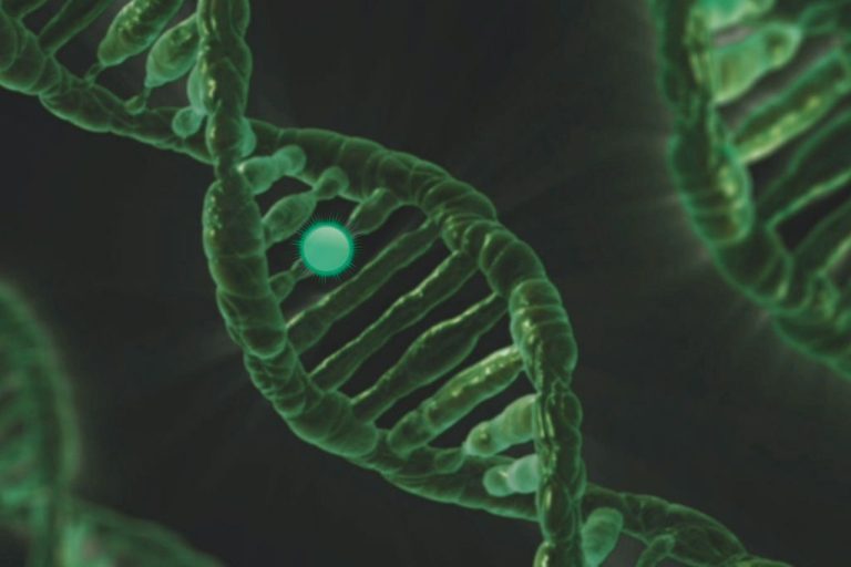 DNA double helix illustration highlighting genetic factors that influence whether hair loss is genetic or affected by lifestyle and stress.