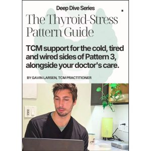 The Thyroid-Stress Pattern Guide: TCM support for the cold, tired and wired sides of Pattern 3, alongside your doctor's care.